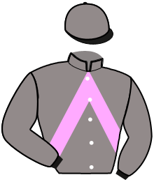 casaque portée par Ploquin Pau. Ph. jockey du cheval de course KLEMS DE JAVIE, information pmu ZETURF