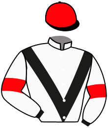 casaque portée par Bachelot T. jockey du cheval de course SAKHARAH, information pmu ZETURF