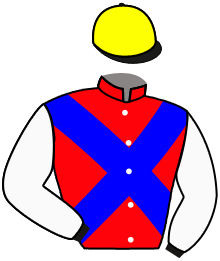 casaque portée par Claudic J. jockey du cheval de course ALVAR, information pmu ZETURF