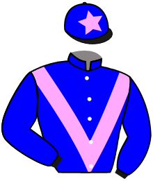 casaque portée par Valle Skar Mlle F. jockey du cheval de course SOUND OF THUNDER, information pmu ZETURF