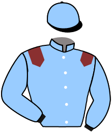 casaque portée par Madamet A. jockey du cheval de course BLUE ELIE, information pmu ZETURF