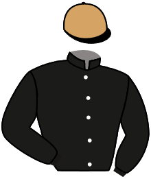 casaque portée par Crastus A. jockey du cheval de course BIG LOG, information pmu ZETURF