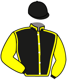 casaque portée par Mendizabal I. jockey du cheval de course AGIOTA, information pmu ZETURF