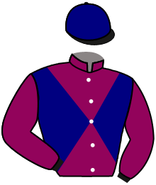 casaque portée par Besnier H. jockey du cheval de course HARRY GOLD, information pmu ZETURF