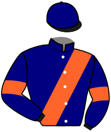 casaque portée par Chauve-laffay Q. jockey du cheval de course LOGO DE BERTRANGE, information pmu ZETURF