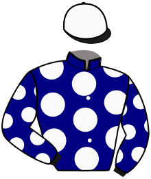 casaque portée par Gauvin M. jockey du cheval de course JUST AN EAGLE, information pmu ZETURF