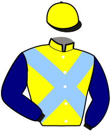 casaque portée par Chauve-laffay Ben. jockey du cheval de course INFINITY JET, information pmu ZETURF