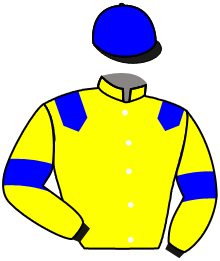 casaque portée par Breux S. jockey du cheval de course MADDOX, information pmu ZETURF