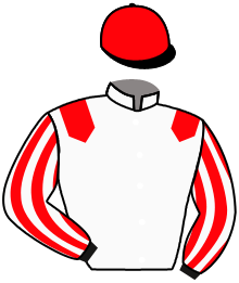 casaque portée par Gallo Mlle L. jockey du cheval de course MEHANYDREAM, information pmu ZETURF