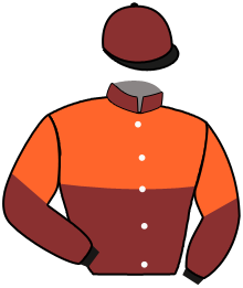 casaque portée par Bodin Ale. jockey du cheval de course DARDO ZACK, information pmu ZETURF