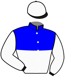 casaque portée par Rochard B. jockey du cheval de course ETERNITY BAR, information pmu ZETURF