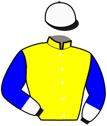casaque portée par Duvaldestin C. jockey du cheval de course EHLERT PAR, information pmu ZETURF