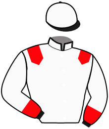 casaque portée par Lenders M. jockey du cheval de course EASY COMPANY, information pmu ZETURF