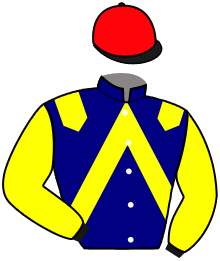 casaque portée par Douaneau E. jockey du cheval de course JETSTAR DE VRIE, information pmu ZETURF casaque portée par Douaneau E. jockey du cheval de course JETSTAR DE VRIE, information pmu ZETURF