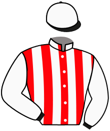 casaque portée par Belmont Cés. jockey du cheval de course STORYVILLE, information pmu ZETURF