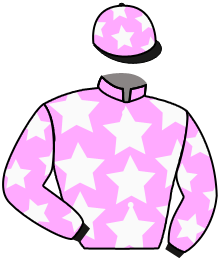 casaque portée par Plommee Léo. jockey du cheval de course DAME MEVANWI, information pmu ZETURF