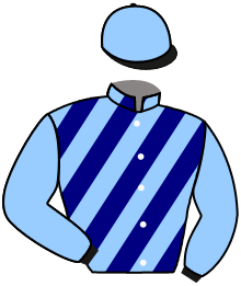 casaque portée par Guyon M. jockey du cheval de course ABBA'S ANTON, information pmu ZETURF