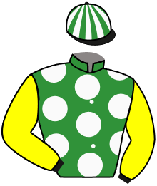 casaque portée par Journiac H. jockey du cheval de course RAPIDE, information pmu ZETURF