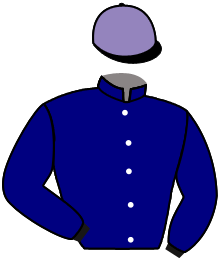 casaque portée par Favriaux Mal. jockey du cheval de course MAJESTIC GLORY, information pmu ZETURF