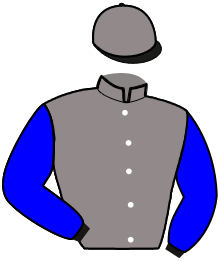 casaque portée par Abrivard M. jockey du cheval de course MAGNUS MAXIMUS, information pmu ZETURF