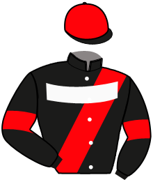 casaque portée par Ploquin Pau. Ph. jockey du cheval de course ROBTHEBANK, information pmu ZETURF