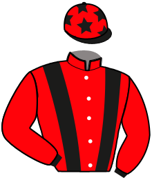 casaque portée par Lamy R. jockey du cheval de course LADY MAJOR, information pmu ZETURF