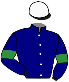 casaque portée par Ruaults J. jockey du cheval de course MAESTRIA GALAA, information pmu ZETURF