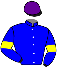 casaque portée par Provost D. jockey du cheval de course TURTLE CHOPE, information pmu ZETURF