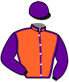 casaque portée par Boutin Hug. jockey du cheval de course L'ARLEQUIN, information pmu ZETURF