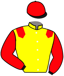 casaque portée par Velon Mlle M. jockey du cheval de course I AM PARADOU, information pmu ZETURF