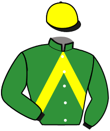 casaque portée par Grelin Mme Vér. jockey du cheval de course INDIEN EMJI, information pmu ZETURF