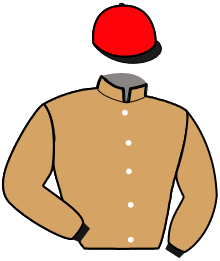 casaque portée par Thomas B. jockey du cheval de course HERMINE DU SABLIER, information pmu ZETURF