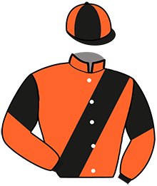 casaque portée par Lerenard A. jockey du cheval de course LOUANE DE VEAUCE, information pmu ZETURF