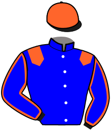 casaque portée par Lenain G. jockey du cheval de course LARSON DU MARNIS, information pmu ZETURF