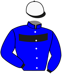 casaque portée par Dierickx I. jockey du cheval de course HAZEL DOPE, information pmu ZETURF