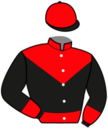 casaque portée par Van Rijn Jaa. jockey du cheval de course HUGO D'HERTALS, information pmu ZETURF