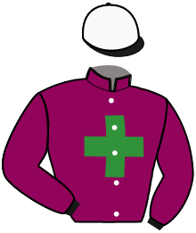 casaque portée par Lannoo Gee. jockey du cheval de course JUNIOR DU CHATAULT, information pmu ZETURF