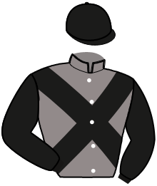 casaque portée par Laurent A. jockey du cheval de course LEOGNAN, information pmu ZETURF