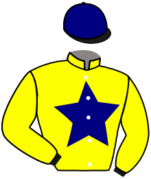 casaque portée par Guyon M. jockey du cheval de course BURGUESINHA, information pmu ZETURF