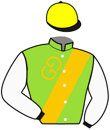 casaque portée par Favriaux Mal. jockey du cheval de course INCREMENTAL, information pmu ZETURF