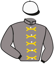 casaque portée par Eyquem Jb. jockey du cheval de course SHAIHAAN, information pmu ZETURF
