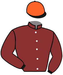 casaque portée par Lecoeuvre C. jockey du cheval de course FAST RAAJ, information pmu ZETURF