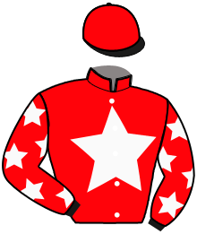 casaque portée par Langlois H. jockey du cheval de course MALMO DE PUCH, information pmu ZETURF