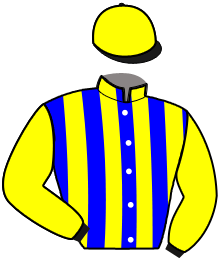 casaque portée par Gilard M. jockey du cheval de course LYX OF CAMARO, information pmu ZETURF