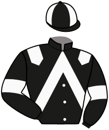 casaque portée par Hardy B. jockey du cheval de course GOLD DE BERG, information pmu ZETURF
