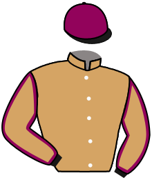 casaque portée par Lelievre A. jockey du cheval de course KEPLER, information pmu ZETURF