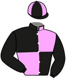 casaque portée par Lehericey J. jockey du cheval de course MARTIN DU SOUND, information pmu ZETURF