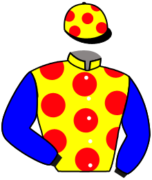 casaque portée par Carre Dor. jockey du cheval de course ZVOLKOV, information pmu ZETURF