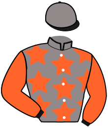 casaque portée par Petitdidier C. jockey du cheval de course GAUCHO DE LA NOUE, information pmu ZETURF