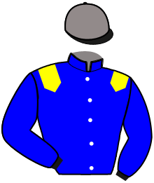 casaque portée par Sorieux Fra. jockey du cheval de course HILLIONNAISE, information pmu ZETURF